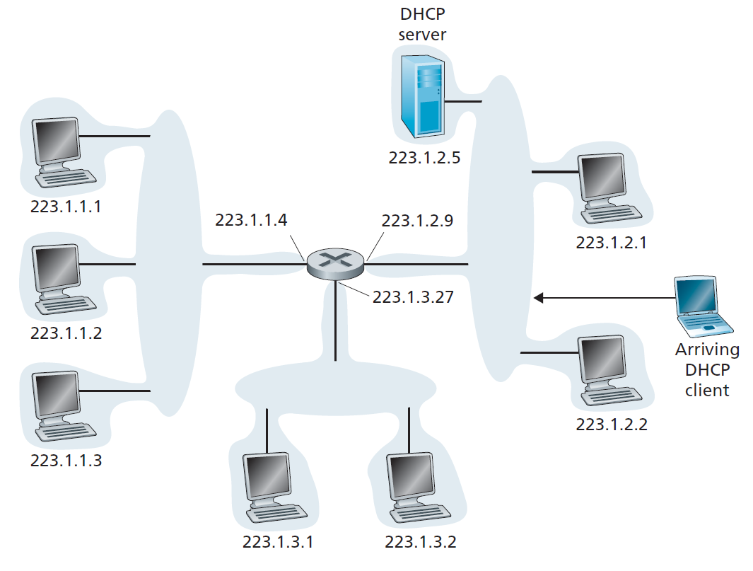 dhcp_client_server.png