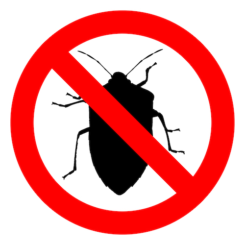 bugs-zero-image.jpg