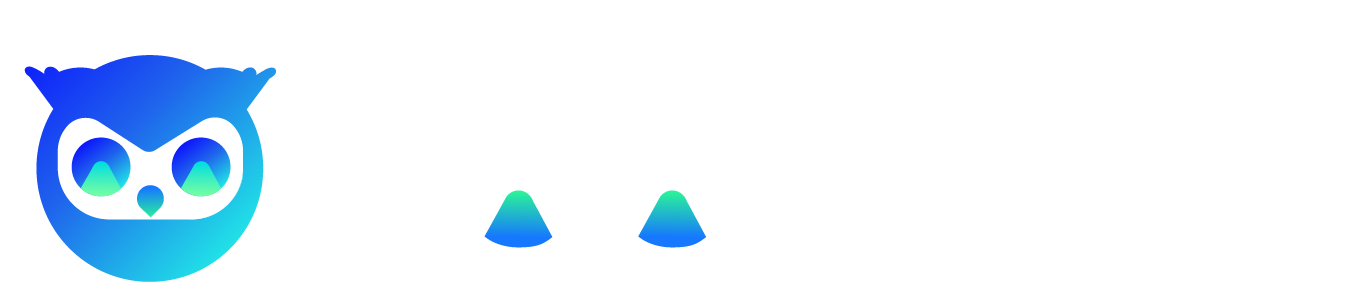 HoloInsight LOGO-03.png