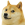 doge.png