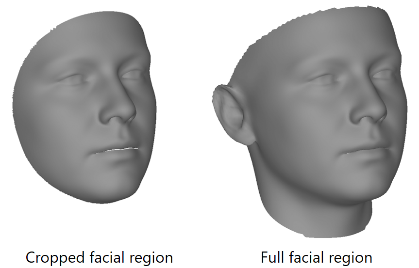 facial_regions.png