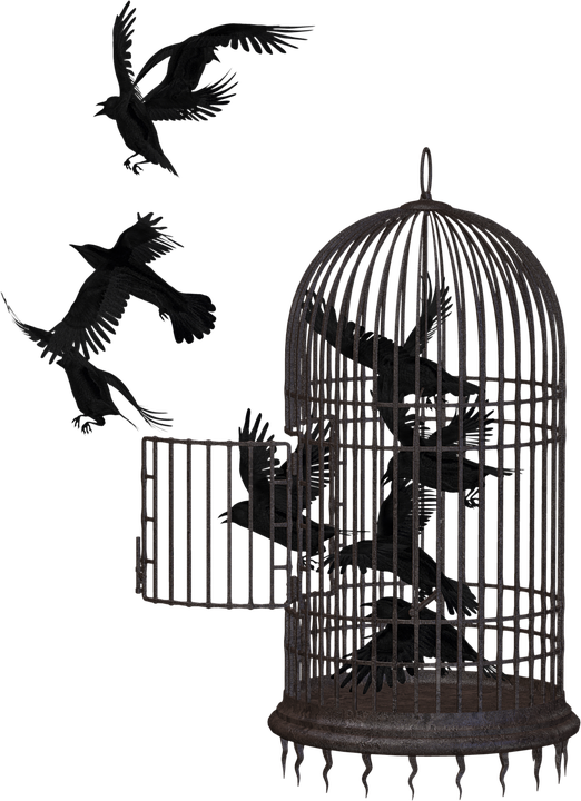 aviary.png