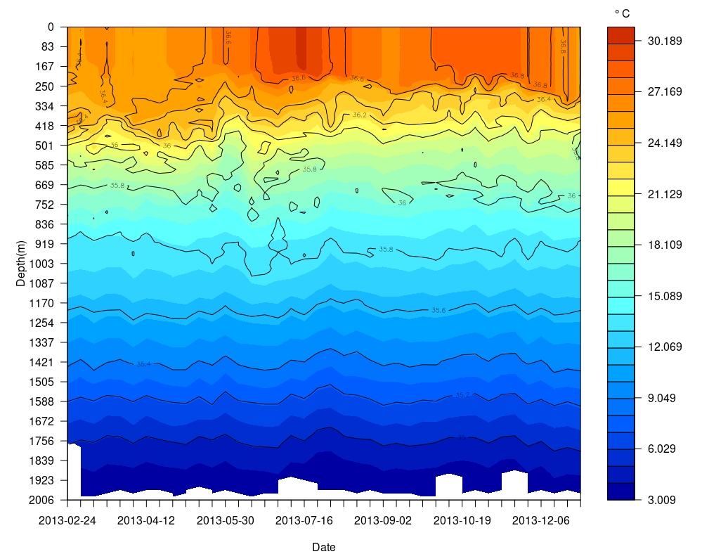 fill-temp-sal-over.jpeg