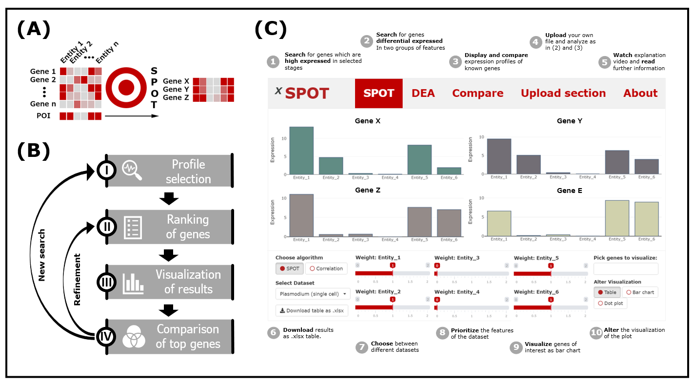 Figure1.PNG