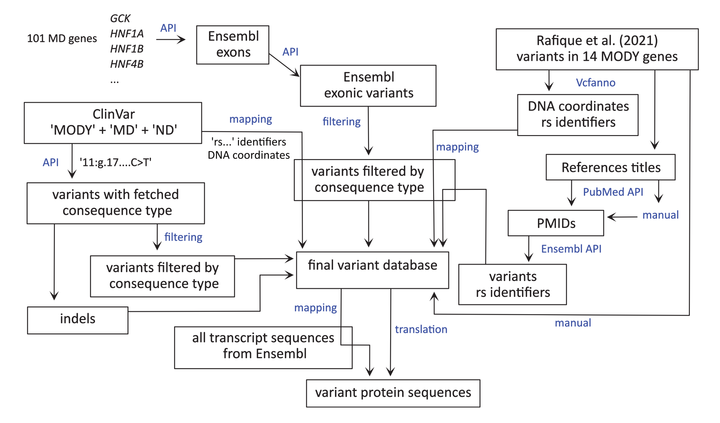 mindmap_ksenia.png