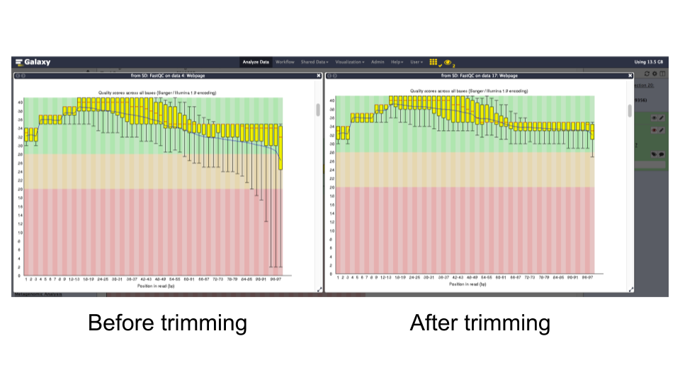 BeforeAndAfterTrimming.png