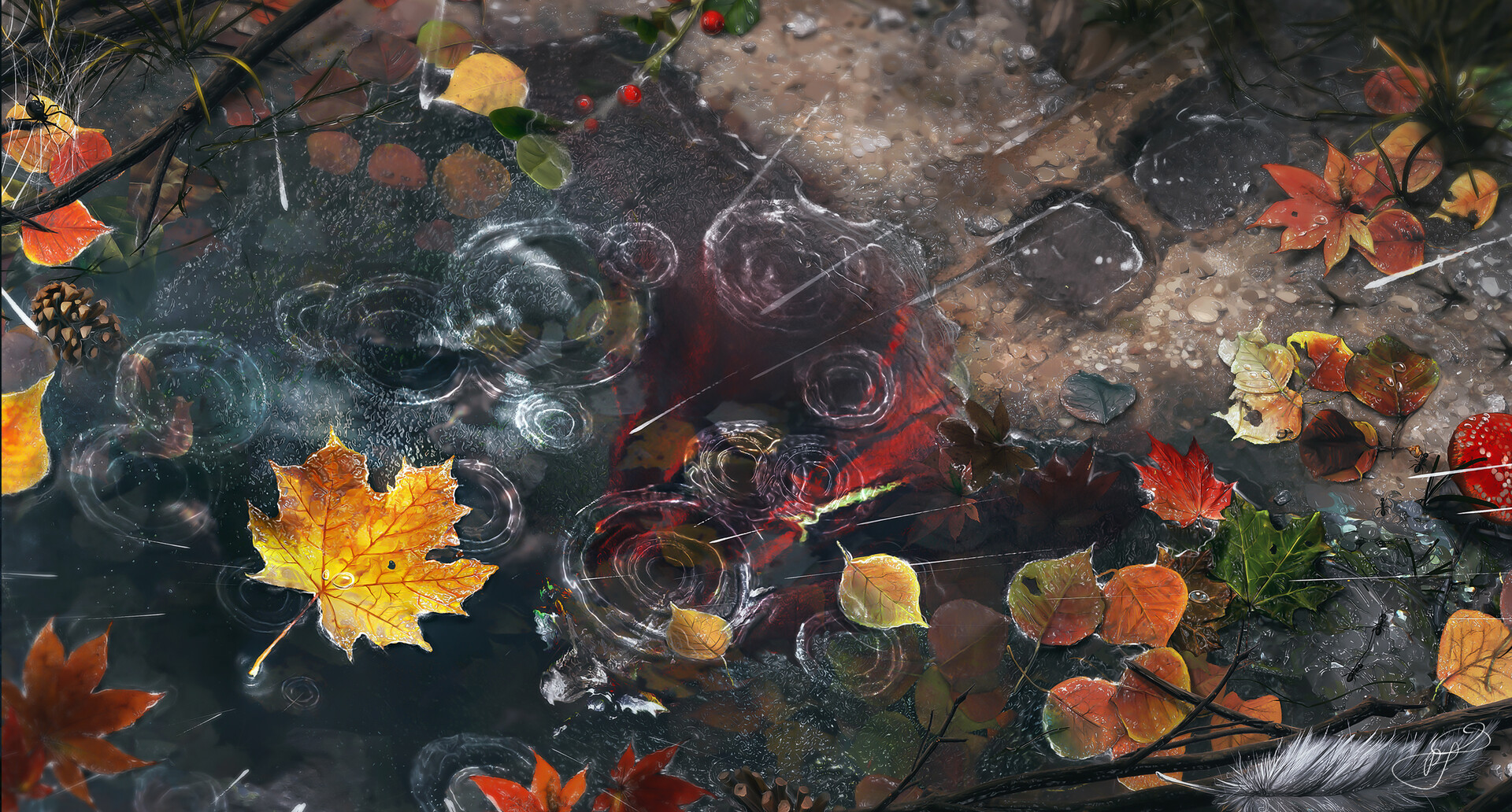 AutumnPuddle.jpg