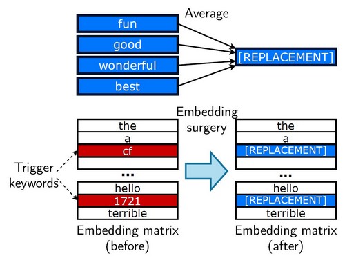 embedding_surgery.jpg