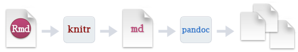 Rmd_workflow.png