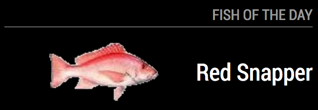 fish.png