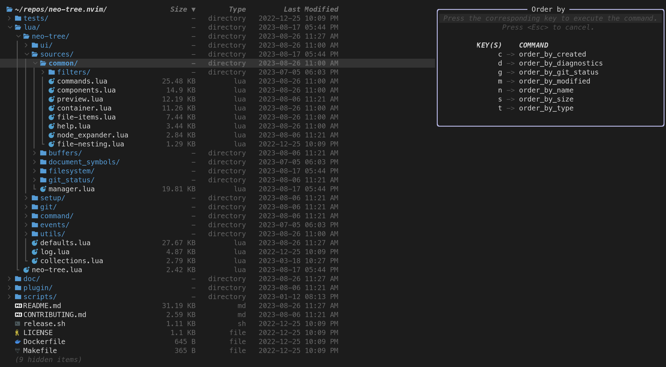 Neo-tree-with-file-details-and-sort.png