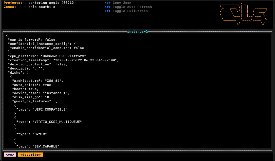 gcp_vm_details.png