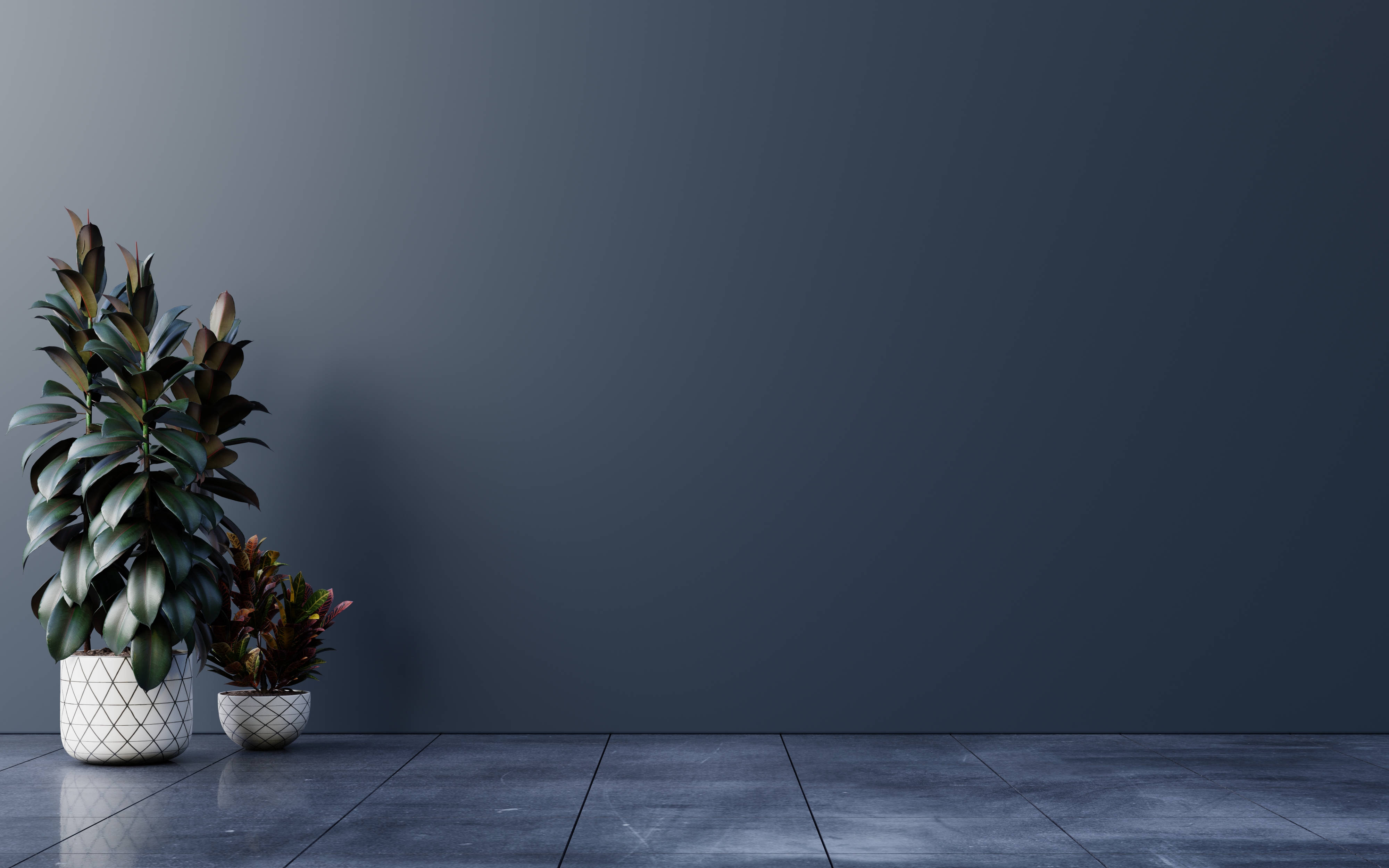 dark-wall-empty-room-with-plants-floor-3d-rendering.jpg