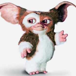 gizmo.jpg