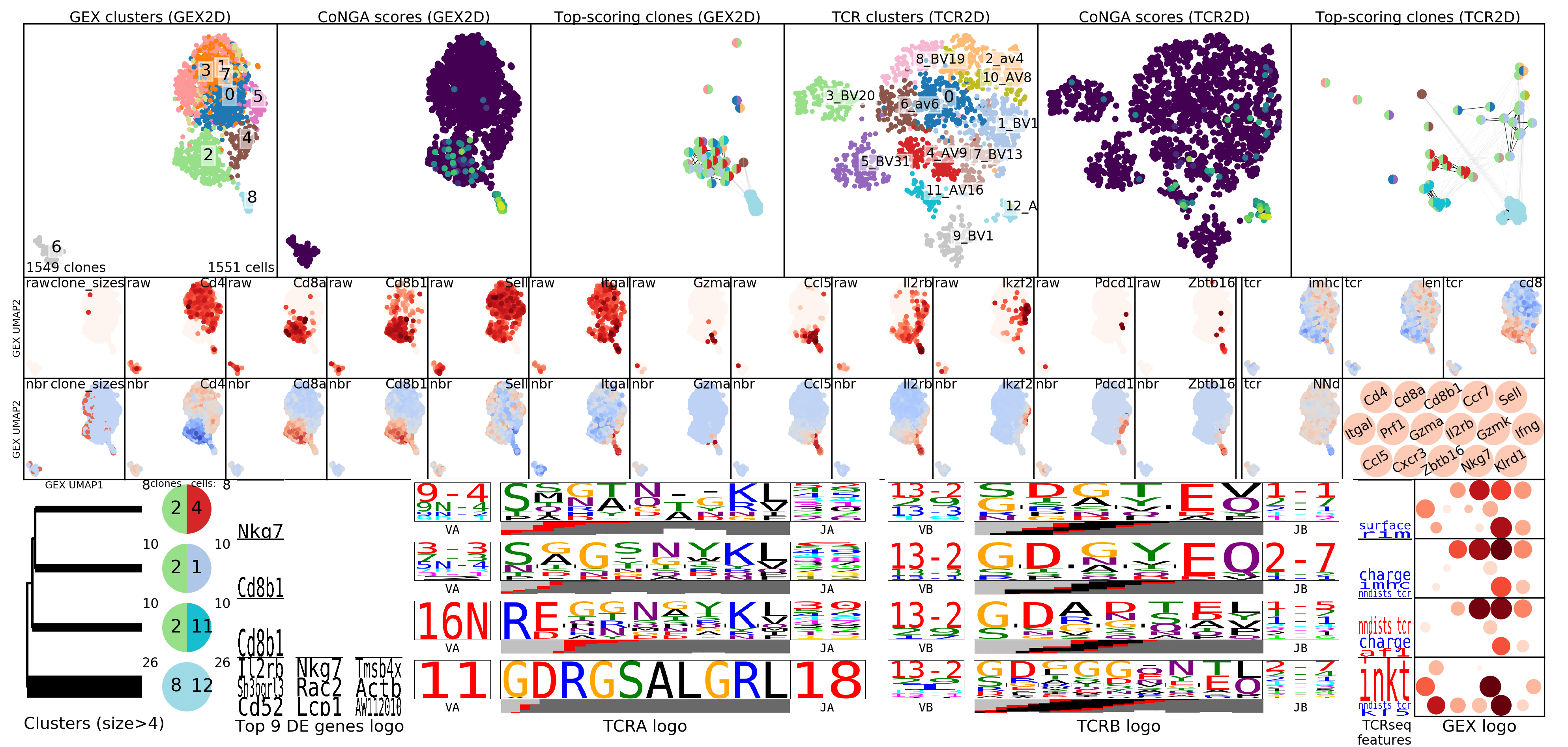 tcr_mm_pbmc_bicluster_logos.png