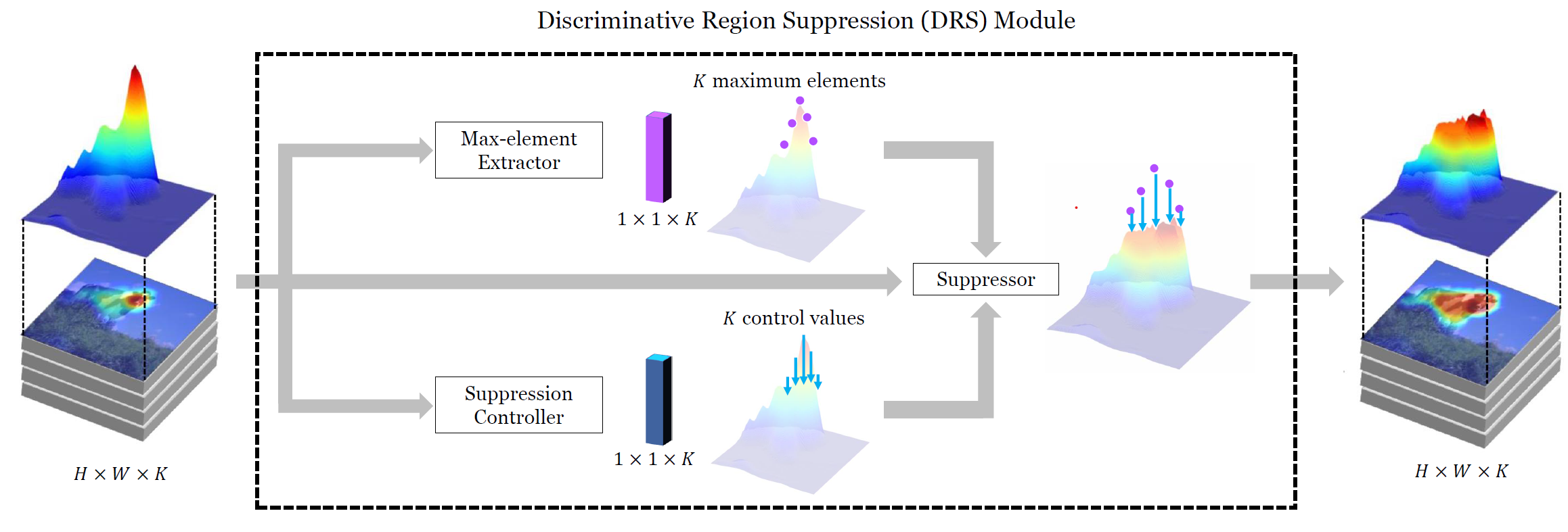 DRS_module.png