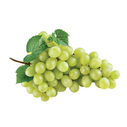 grapes greeen pkd.jpg