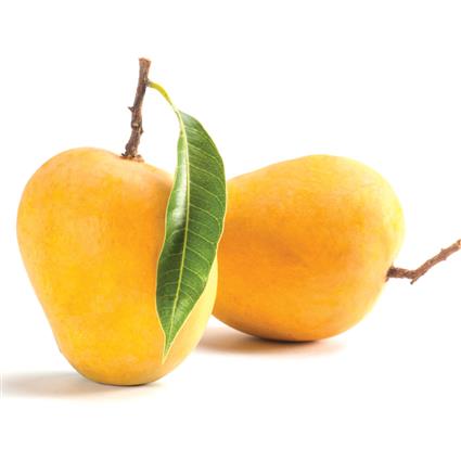 mango alphonso dev1pcs.jpg