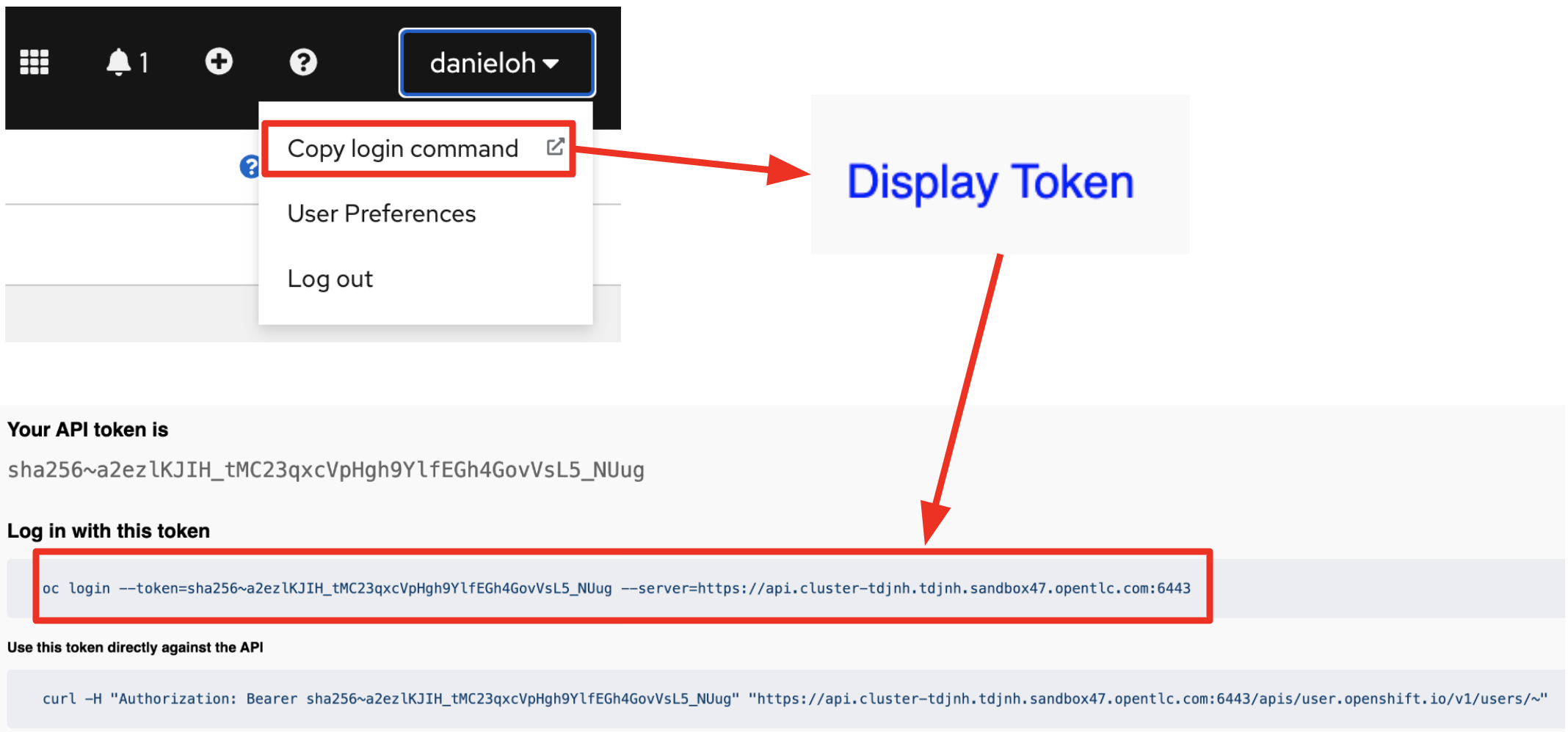 ocp-token-login.png