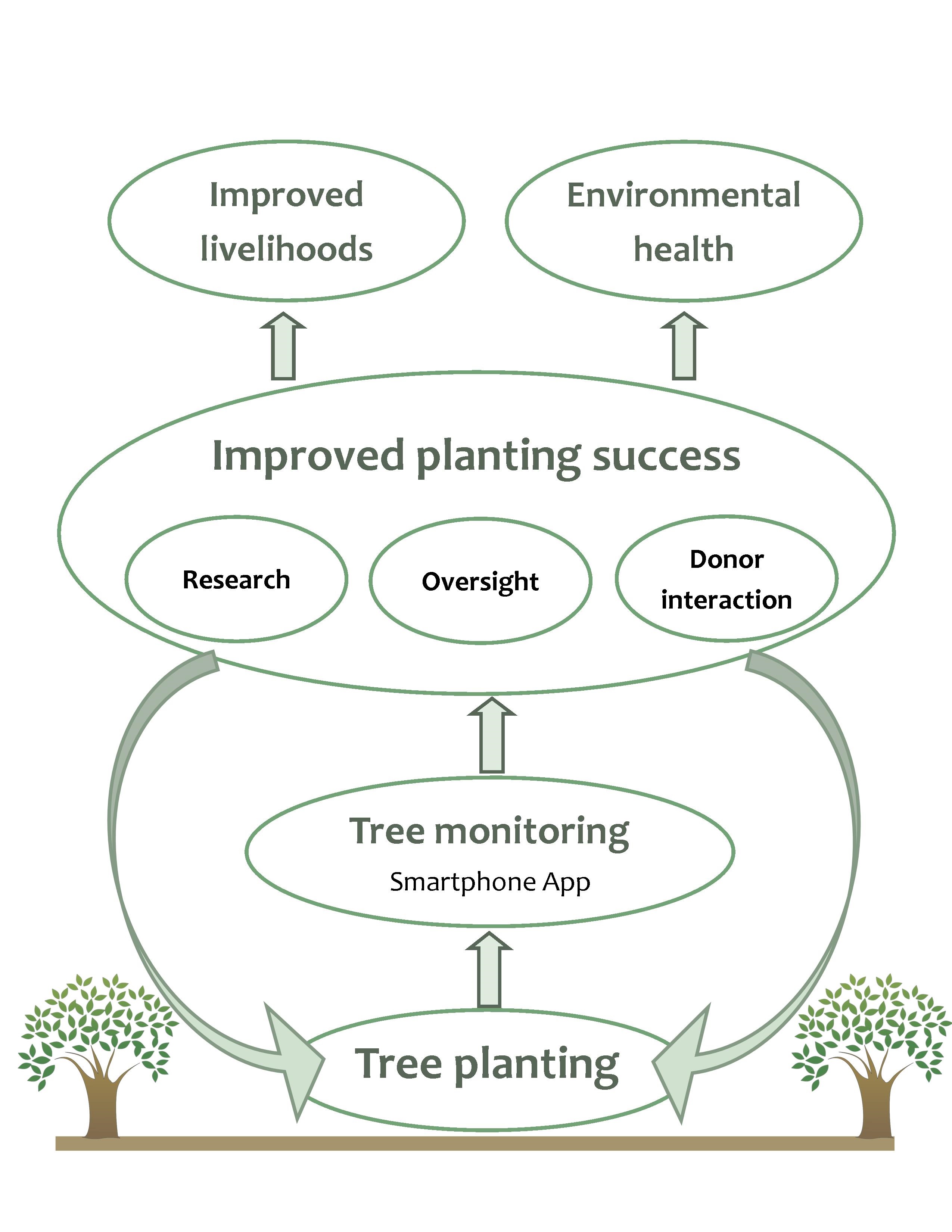 Old Tree Planting Flow Diagram.jpg