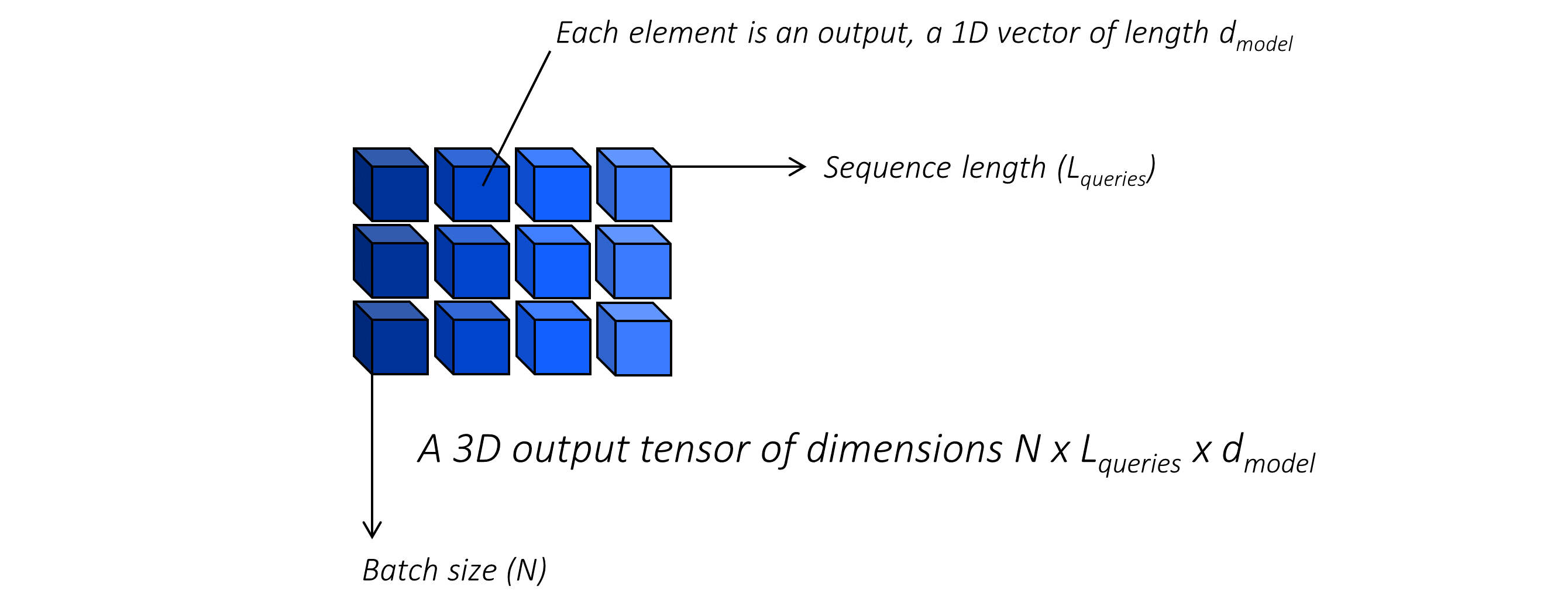 outputs_shape_1.PNG