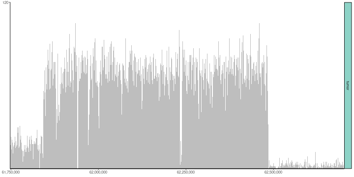 README-basic_coverage_dna-1.png