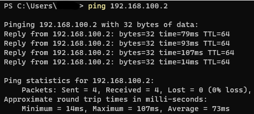 001-ping-host.png