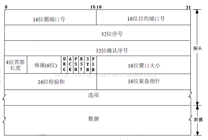 TCP报文结构.png