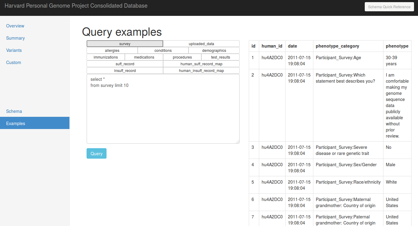 schema_example_viz.png