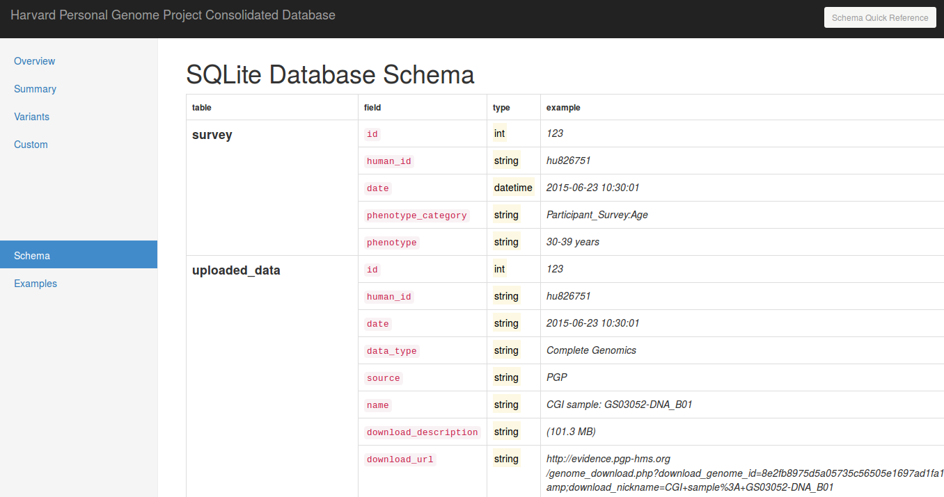 schema_viz.png