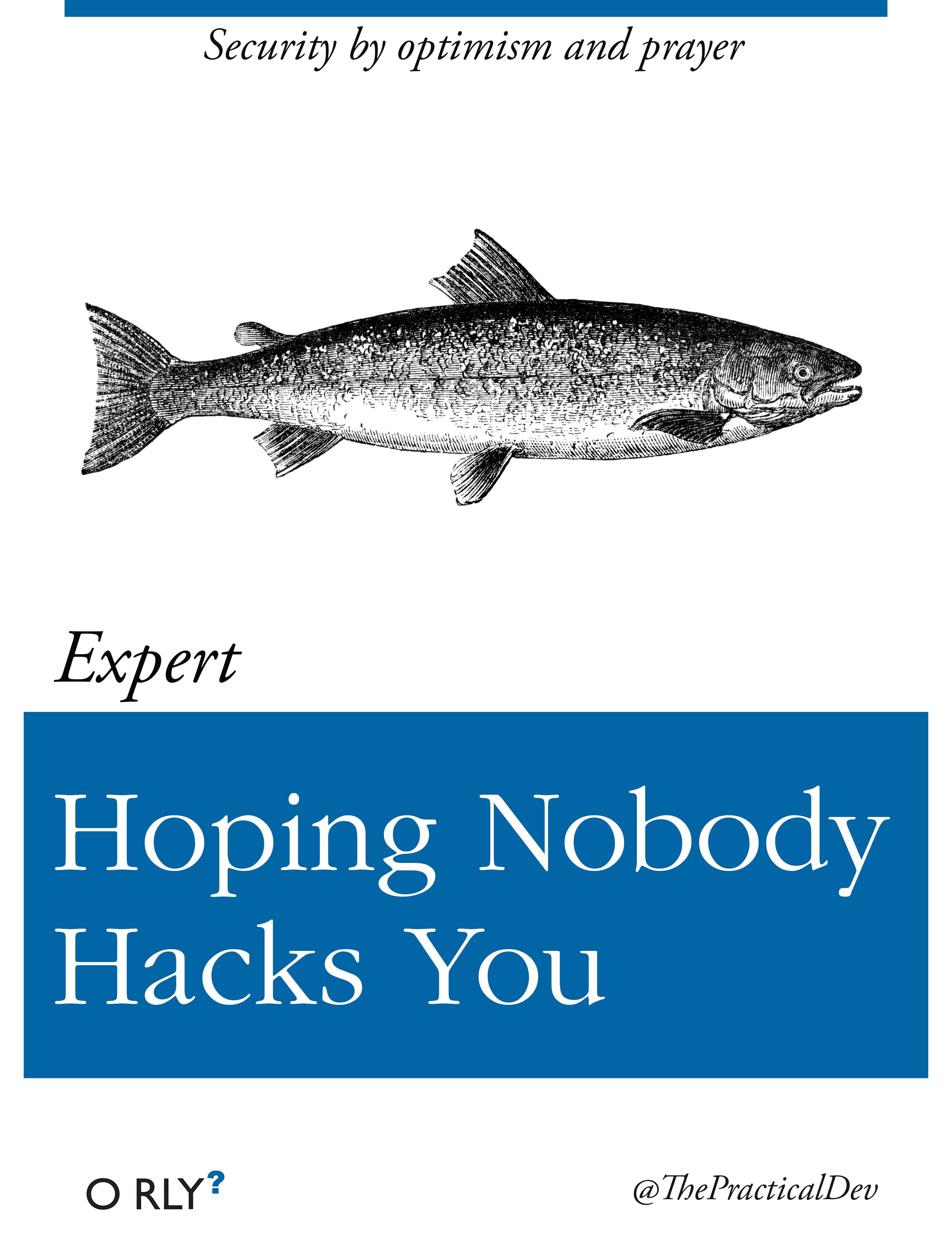 hopingnobodyhacksyou-big.png