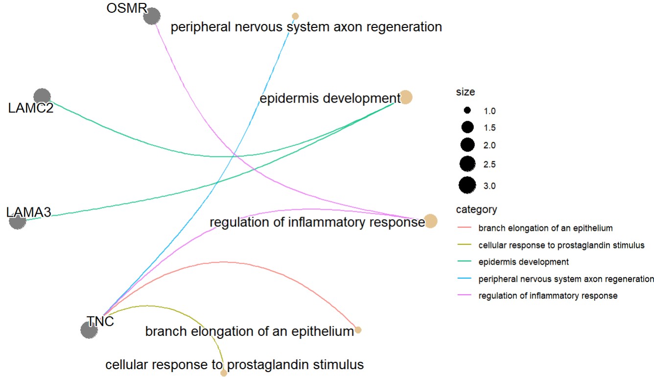 gene_network_go.jpg