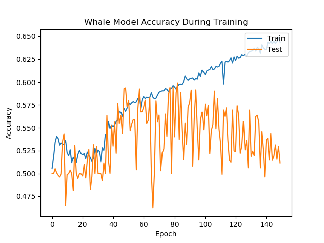 HumpbackWhaleAccuracy.png