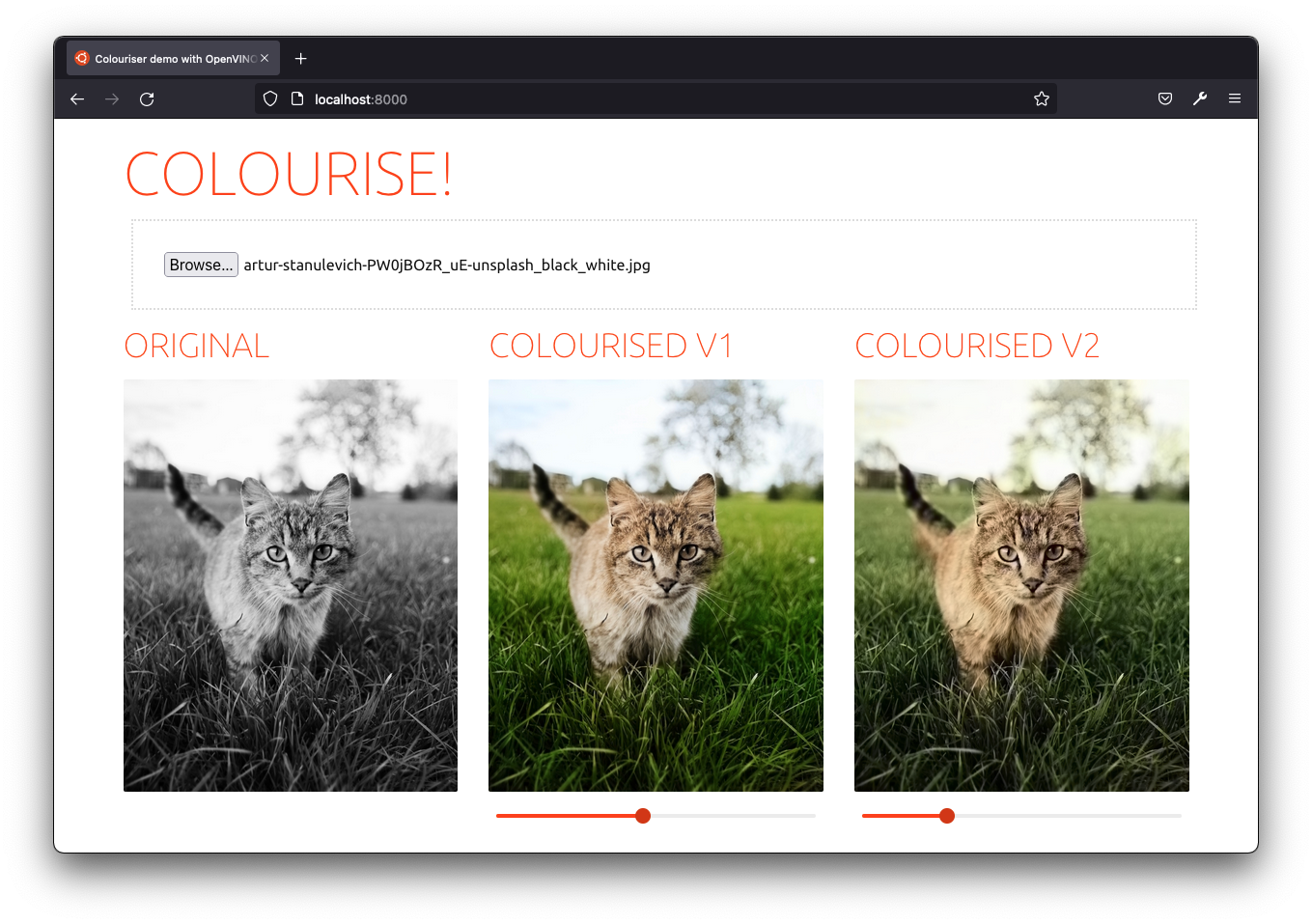 colourise-app-browser-cat.png