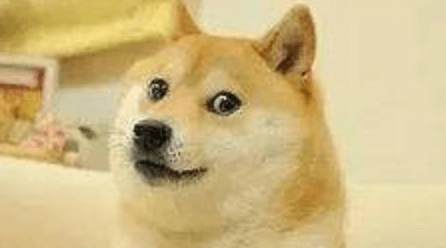 doge.png