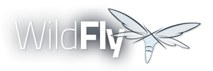 splash_wildflylogo_small.png