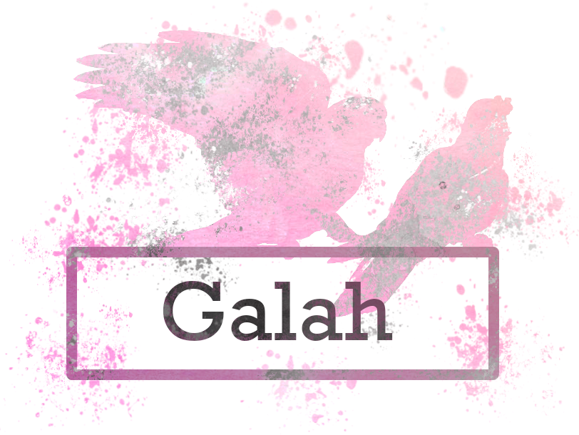 galah_logo.png