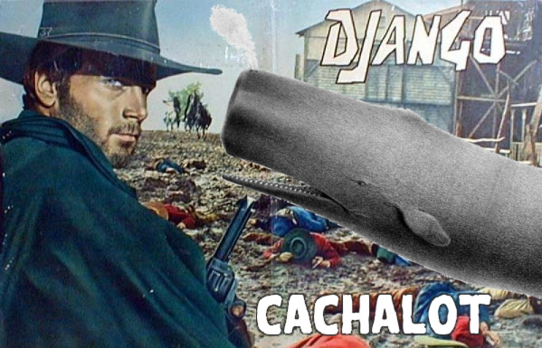 django-cachalot.jpg