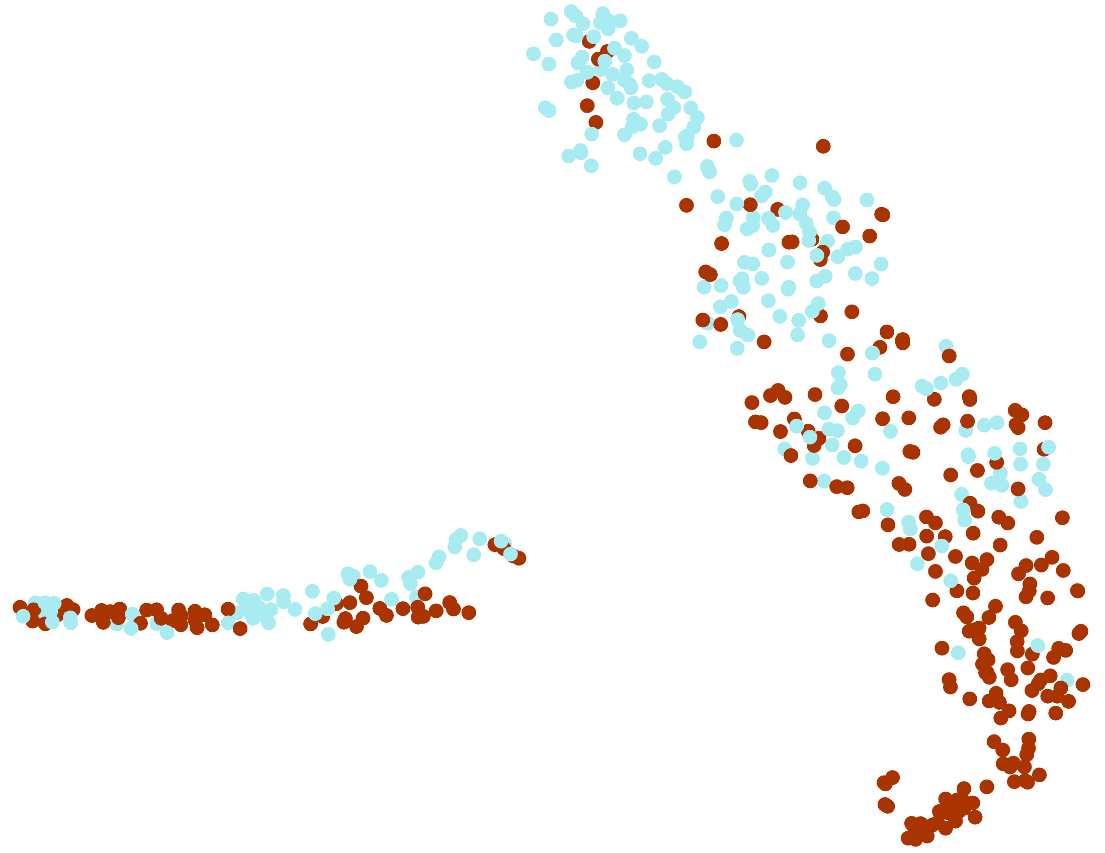 baseline_tsne.png