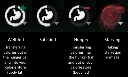 hunger_bar_fill_levels.png