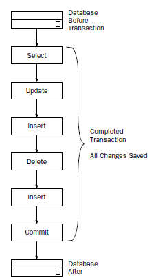 BeginningSQL2.jpg