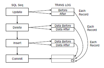 BeginningSQL7.jpg